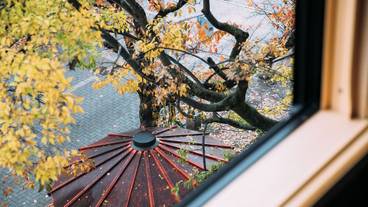 部屋からの景観 / 34