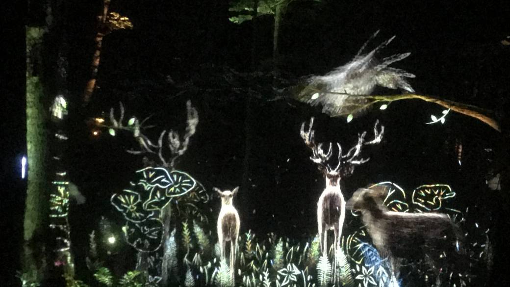 カムイルミナ / 1