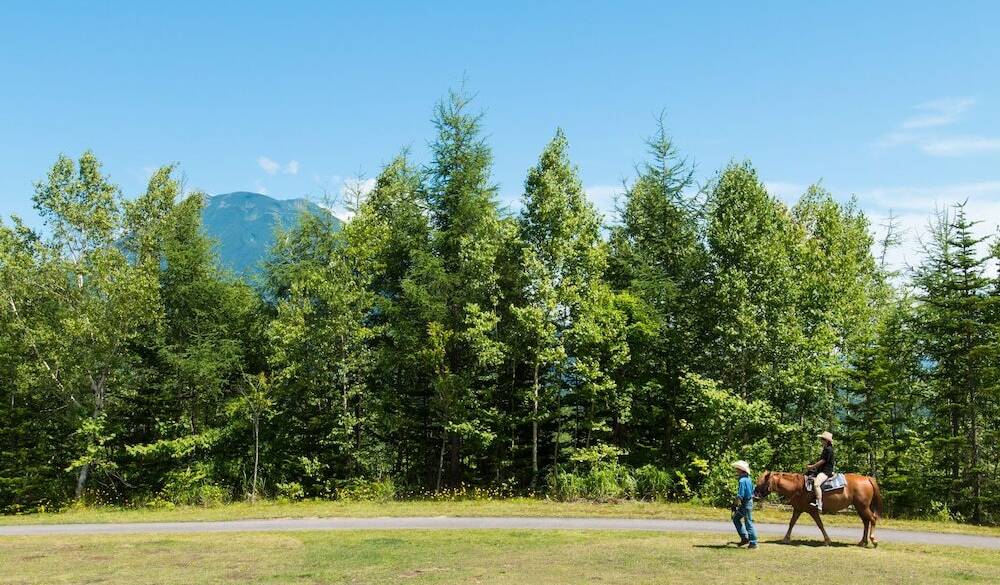 アクティビティ夏② / 5