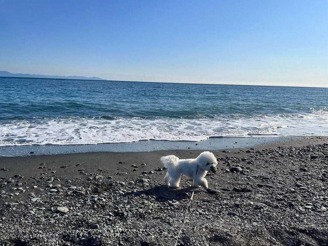 seto__1022さんの写真 / 1