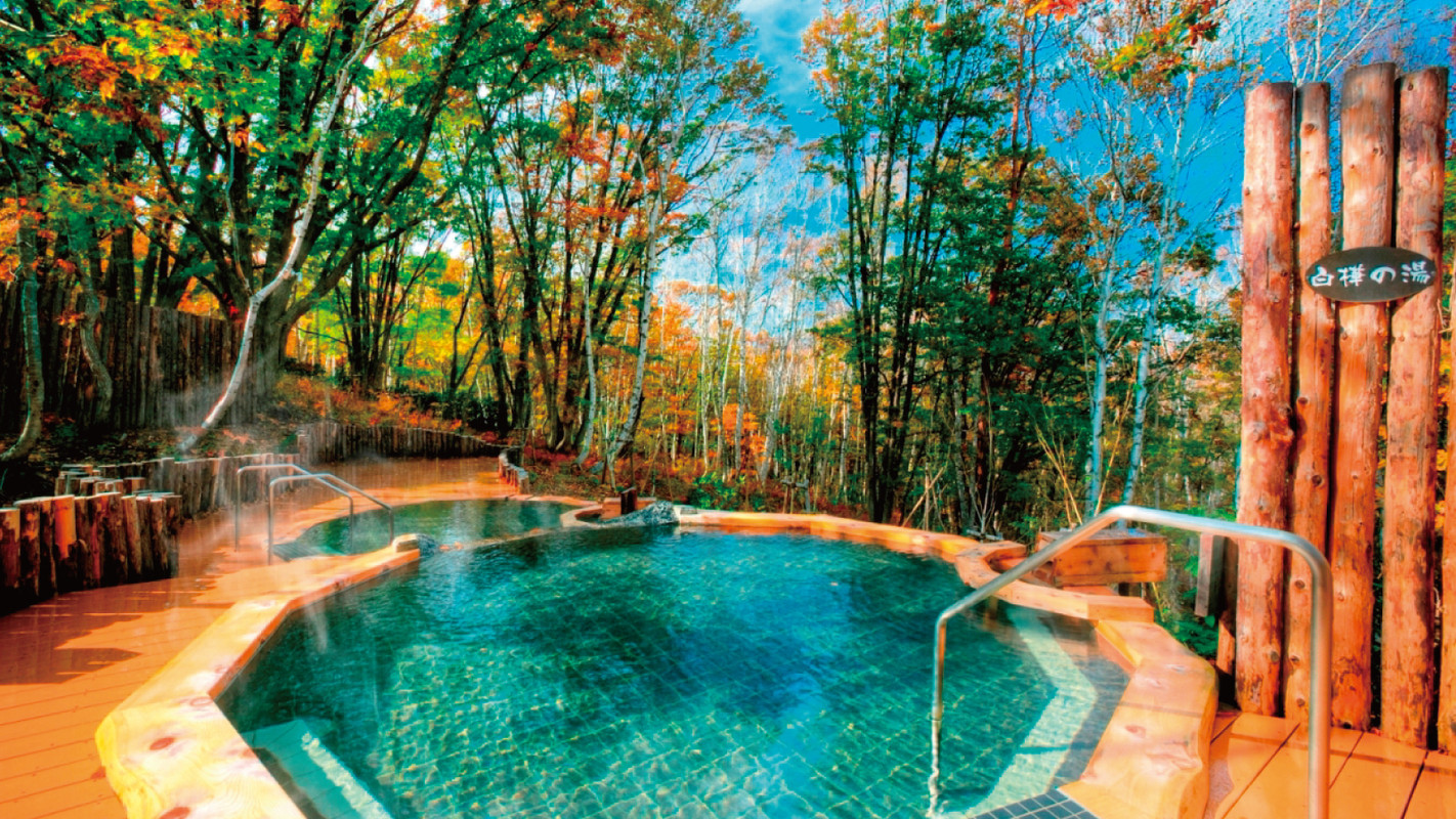 水上温泉郷 水上高原ホテル200（ミナカミオンセンキョウ　ミナカミコウゲンホテル200） / 1