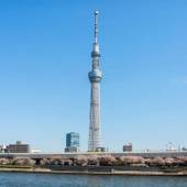 安心お宿 秋葉原電気街店（東京都 カプセルホテル） / 5