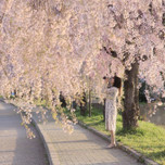 【福島】傷心の乙女たちへ。さぁひとり旅に出よう！サッと元気になれちゃうスポット7選