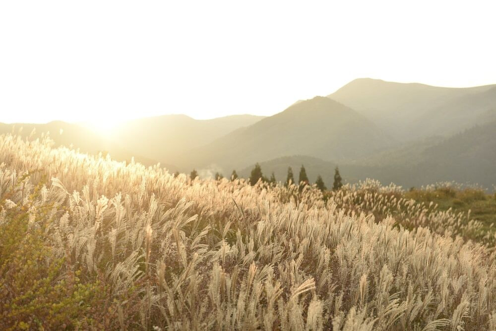 マウンテン ビュー