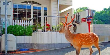 プチホテル 古っ都ん100％