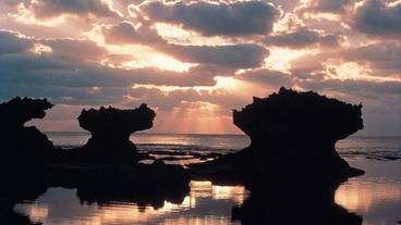 ランド ビュー / 22