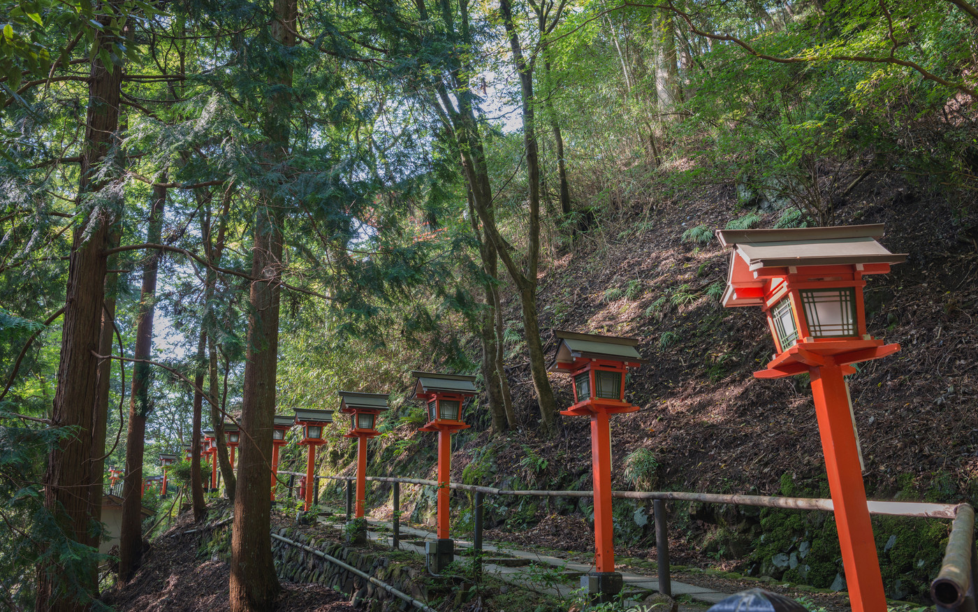 鞍馬寺 森の中の参道風景
