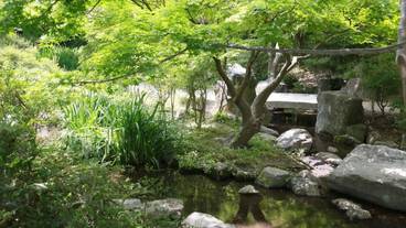 施設の敷地 / 10