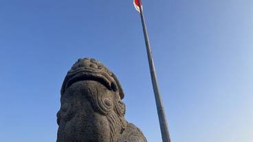 ランド ビュー / 28