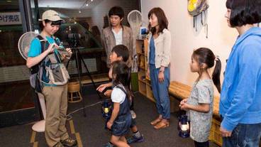 子供向けアクティビティ / 8