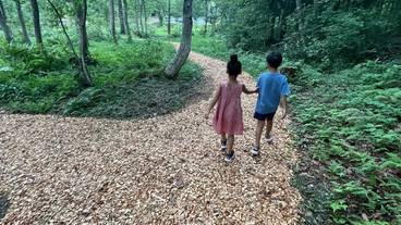 遊歩道 / 6