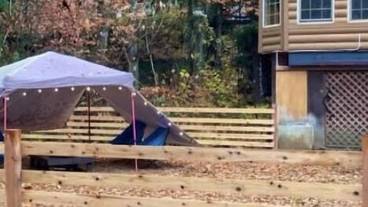 ペット同伴可 / 3