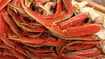 食事・飲み物 / 4