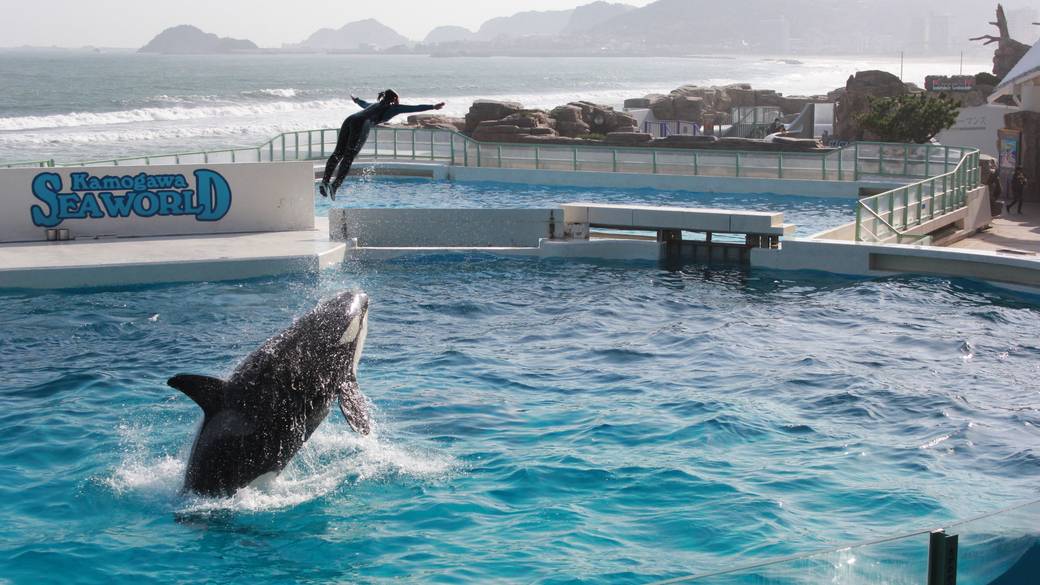 近くの市場で
旅のお土産選び / 4