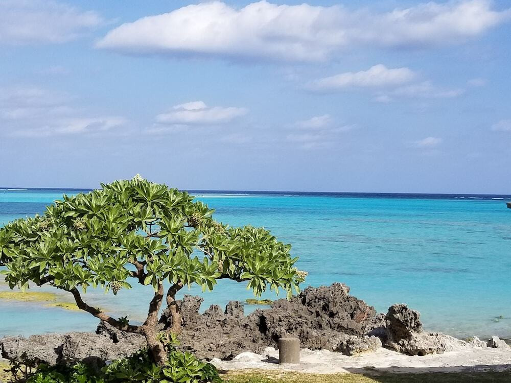 施設からの眺望