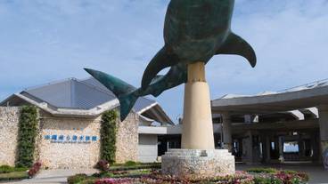 観光スポット / 8