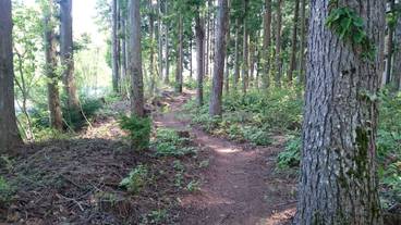 施設の敷地 / 18