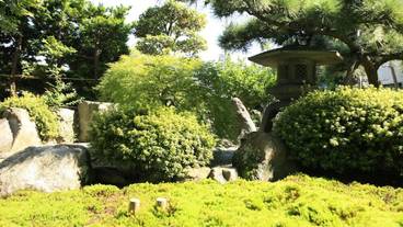 日本庭園 / 12