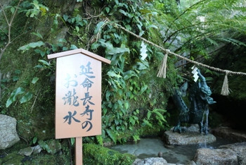 5.落差日本一の迫力！日本三名瀑のひとつ「那智の滝」3750920