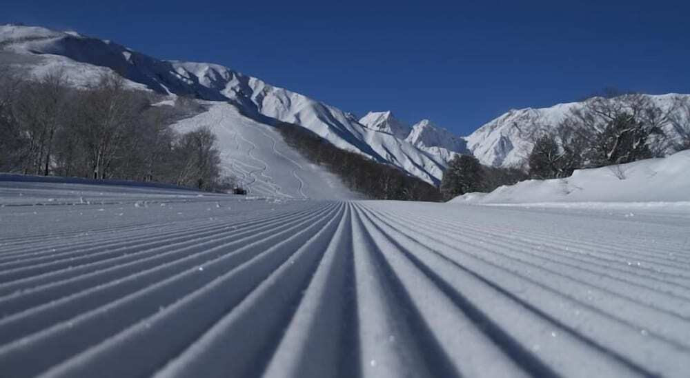 施設からの眺望