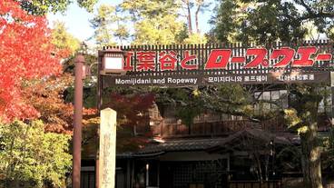 ランド ビュー / 30