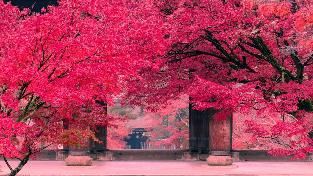 南禅寺 山門 / 2