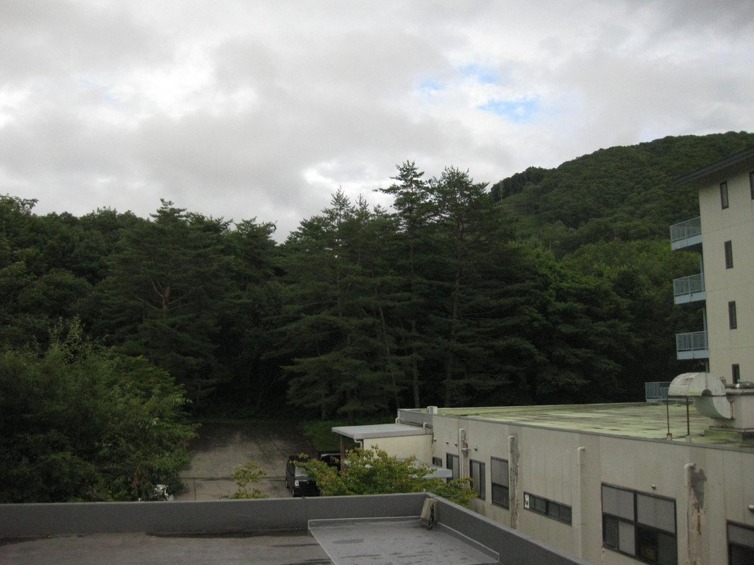 部屋からの眺め 自然がいっぱい 森が見える