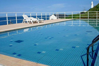 プールで夏場も楽しめる!3995320