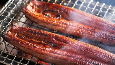 ビュッフェ / 12