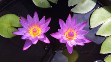 施設の敷地 / 11