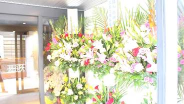 子供用の遊び場 - 屋内 / 16