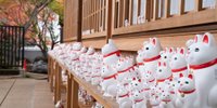【全国】猫にパワーをもらう旅へ♪猫のお守り・招き猫がある寺社7選＋周辺ホテル