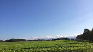 施設の敷地 / 13