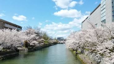 シティ ビュー / 12