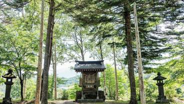 ランド ビュー / 19