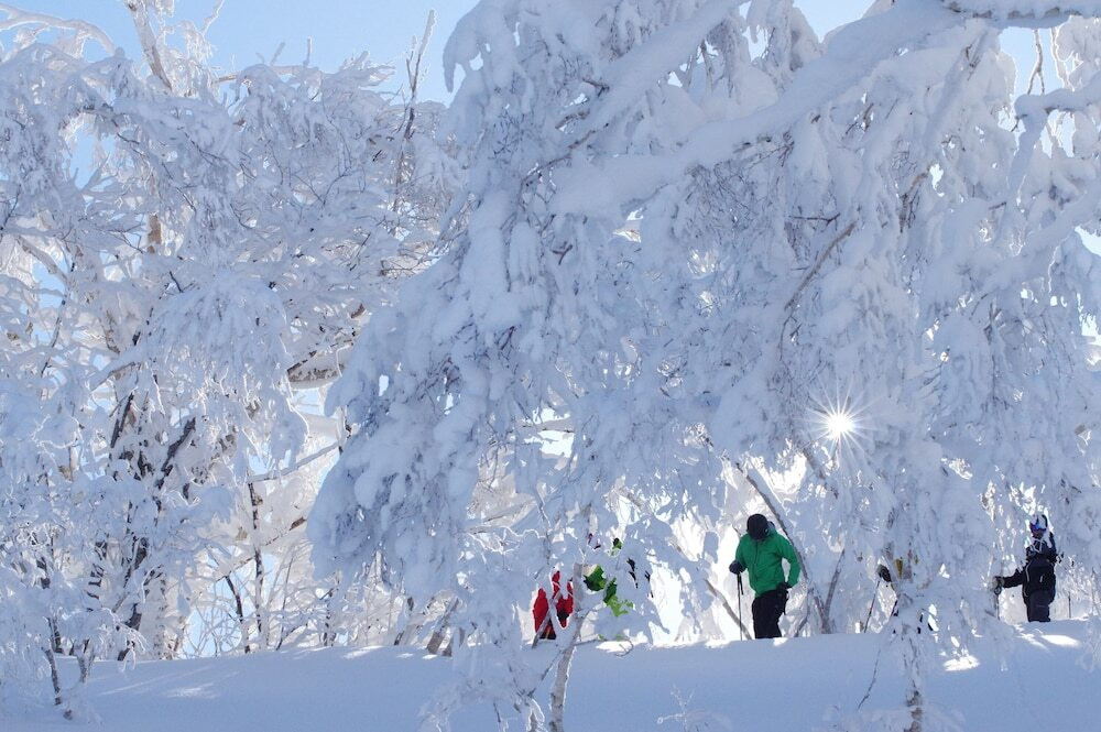 スノー スポーツとスキー