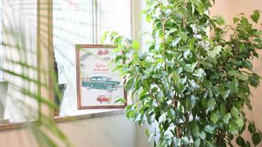 レセプション ホール / 6