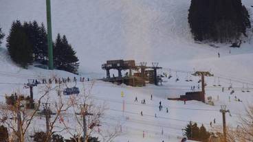 レストラン / 10