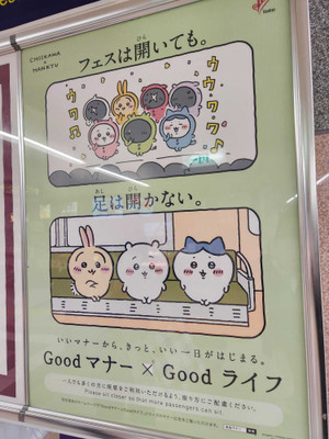 icotto_machicoさんの写真 / 2