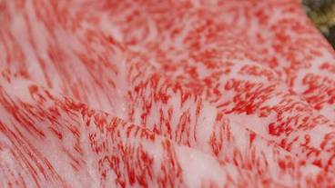 「日山」食事一例④ / 11