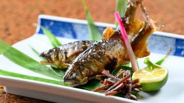 食事・飲み物 / 10