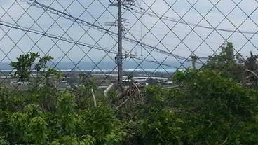 部屋からの景観 / 14