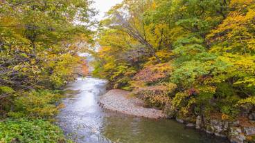 施設からの眺望 / 37
