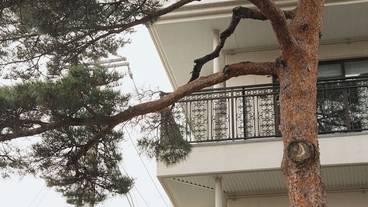 外観 / 2