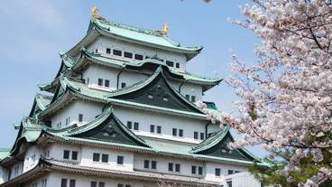 観光スポット / 15