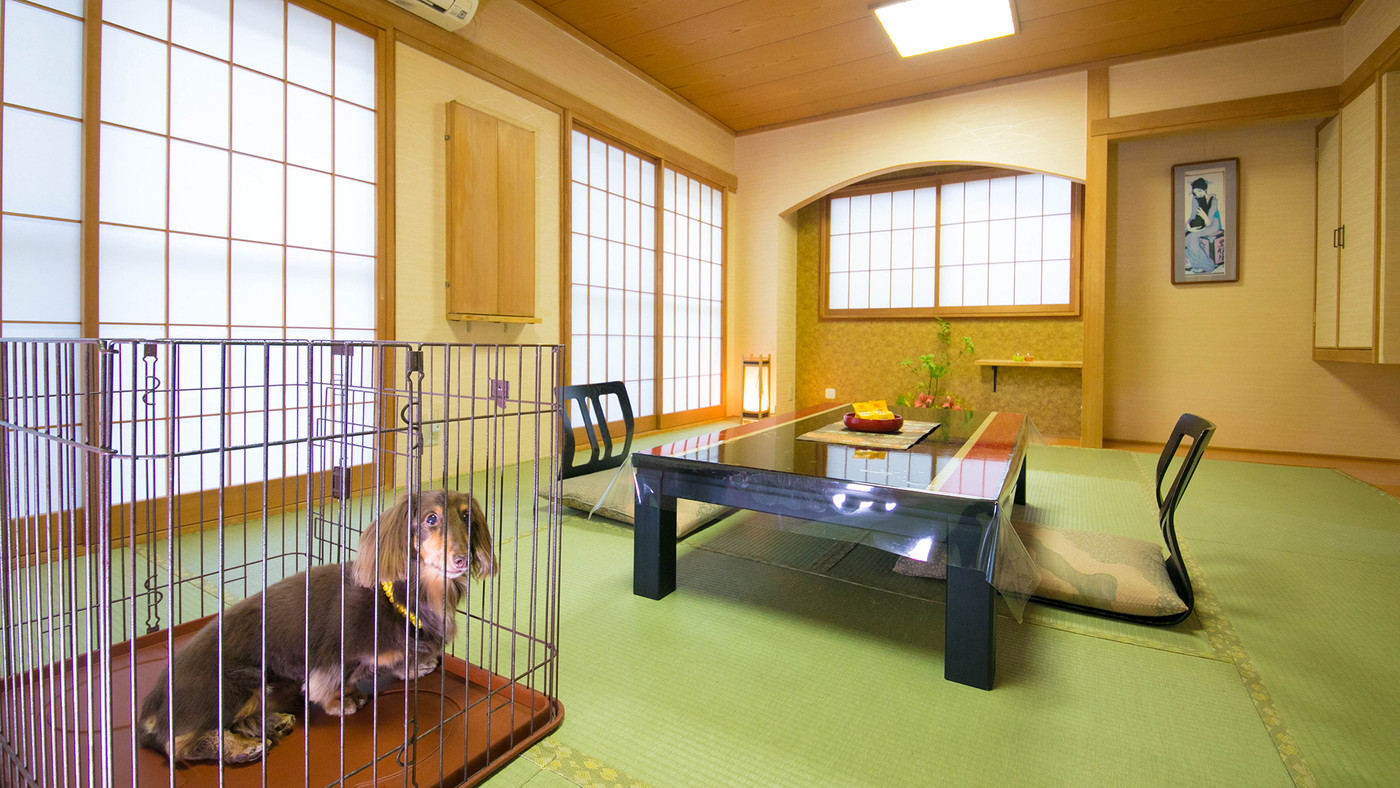 5.広い和室で愛犬とお部屋食「土湯温泉 自噴泉の宿 ニュー扇屋」3965494