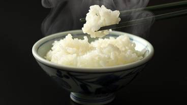 食事・飲み物 / 21