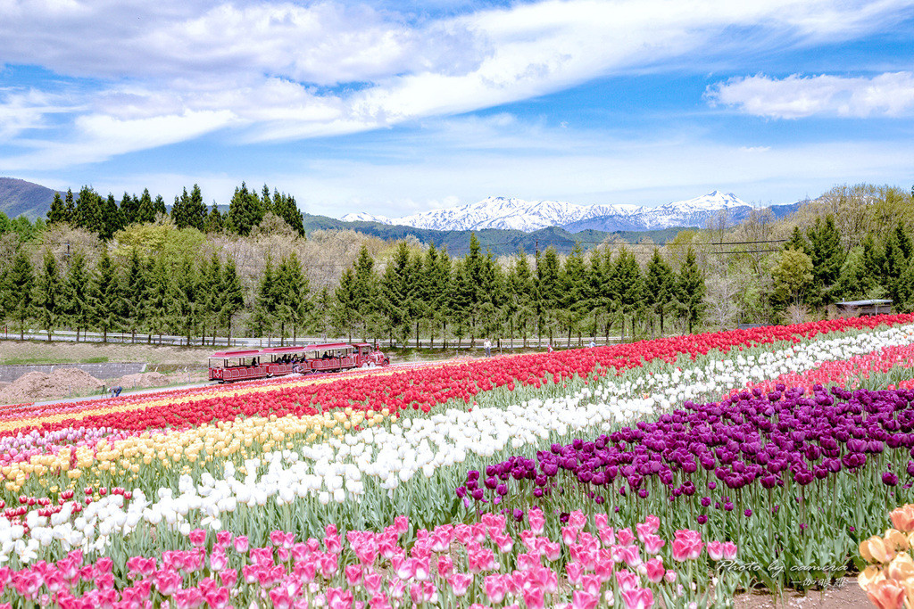 こちらで観光♪「牧歌の里」4088519