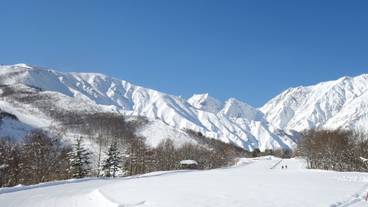 スノー スポーツとスキー / 6