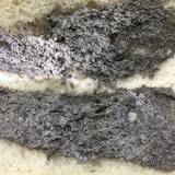 気仙沼パン工房（ケセンヌマパンコウボウ）